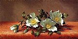 Martin Johnson Heade Canvas Paintings - The Cherokee Rose